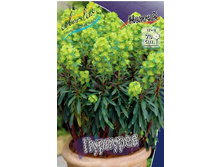 123,1���. ������� ��������(�������� ���� �� 1 ��., ����������� ����� 1��.).jpg