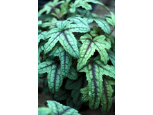 235,3���. ���������� ������(�������� ���� �� 1 ��., ����������� ����� 1��.)���17.jpg