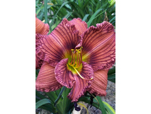 211,6���. �������� ����� �� ����(�������� ���� �� 1 ��., ����������� ����� 1��.).jpg