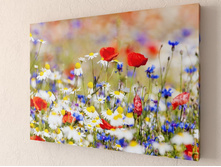 ���� ���� 2 1-1.jpg