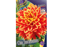 81,8���. �������� ��� ��������(�������� ���� �� 1 ��., ����������� ����� 1��.).jpg