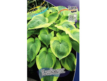 156,3���. ����� ��������(�������� ���� �� 1 ��., ����������� ����� 1��.).jpg