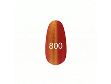 800.gif