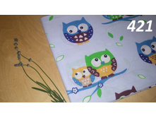 421 ���� �� ������ ����.jpg