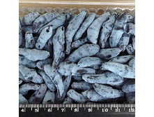 191���. ��������� ���������� �������� �������.jpg