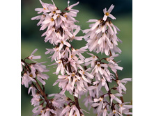 157���. ������������� ��������� �������.jpg