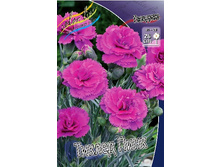 79,75���. �������� ������ ����(�������� ���� �� 2 ��., ����������� ����� 1��.).jpg