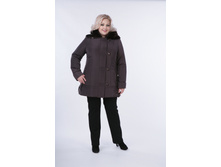 �������� ����������.JPG