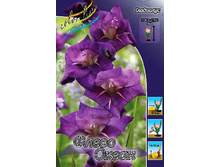 9,41���. ��������� ����� �����(���������� ������ ������ ���������� �� 9 ��.).jpg