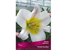 ����� ������ ������.jpg