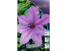 136,6���. �������� ������(�������� ���� �� 2 ��., ����������� ����� 1��.).jpg