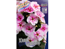 92,35���. ����� ���� �������(�������� ���� �� 2 ��., ����������� ����� 1��.).jpg