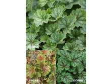 67,1���. ������� ����� ������(�������� ���� �� 2 ��., ����������� ����� 1��.)���17.jpg