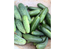 �������� ������� � �������������