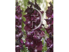 13,2���. ��������� ���� ����(���������� �� ����� �������� �� 7��.)���17.jpg