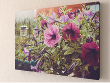 ������� ����� 1-1.jpg