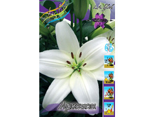 18,4���. ����� �������(��� 7 ��. ���������� �� 2��.).jpg