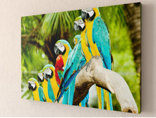 ������� ������� 1-1.jpg