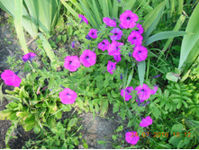 DSCN2150.JPG