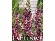 9,11���. ��������� ������(���������� ������ ������ ���������� �� 8 ��.).jpg