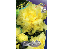 1198,8���. ���� ���� ����(�������� ���� �� 1 ��., ����������� ����� 1��.).jpg