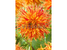 83,5���. �������� ������� ����������(�������� ���� �� 1 ��., ����������� ����� 1��.)���16.jpg