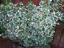 ��������� ������� �������� �����-112�.jpg