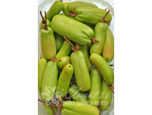 ��������� ��������� ��������-274�.