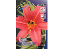 54,45���. �������� ���� ������(�������� ���� �� 2 ��., ����������� ����� 1��.).jpg