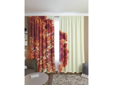 ������� ����.jpg