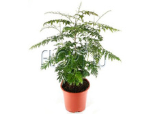 ��������� ������� 17�45. 247,8 ���.jpg