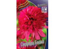 290,6���. �������� ������� �����(�������� ���� �� 1 ��., ����������� ����� 1��.).jpg