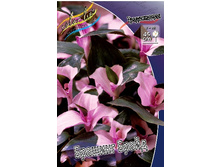 113,7���. ������������ ������� �����(�������� ���� �� 1 ��., ����������� ����� 1��.).jpg