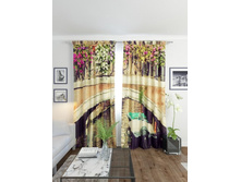 ��������� ������.jpg