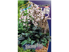 73,4���. ��������� ������ ���(�������� ���� �� 2 ��., ����������� ����� 1��.).jpg