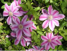 �������� ���� ������-185.jpg