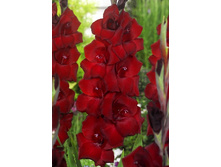 12,53���. ��������� ��� ���(���������� �� ����� �������� �� 7��.).jpg