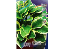 51,3���. ����� ��� ����(�������� ���� �� 2 ��., ����������� ����� 1��.).jpg