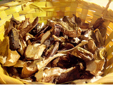 ����� ������� 100��