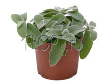 ������������ ������� ���� 12�20. 177,45 ���.jpg