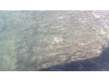 IMG 20161018 133606.jpg