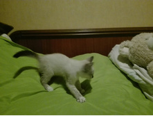 ���������