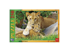 ���� STANDARD 250 ���������, �3, ������ ������, 280�400��, 250��3 14215 97,09.jpg