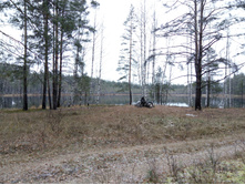 IMG 20161029 102153.jpg