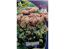 78,15���. ������ �������(�������� ���� �� 2 ��., ����������� ����� 1��.).jpg