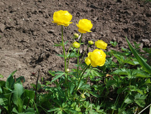 20160515 121431.jpg