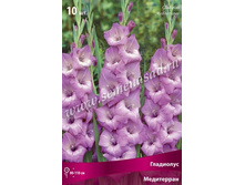 ��������� ����������.jpg