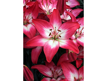 29,84���. ����� ����� �������(��� 5 ��. ���������� �� 2��.)���17.jpg