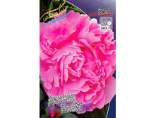 527,5���. ���� ������ �����(�������� ���� �� 1 ��., ����������� ����� 1��.).jpg