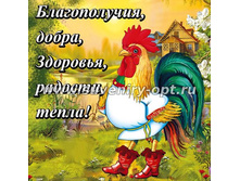 ������-11 �� 2017 6��6 22���..jpg